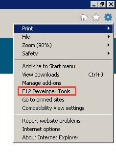 Screenshot of Internet Explorer Settings Developer Tools